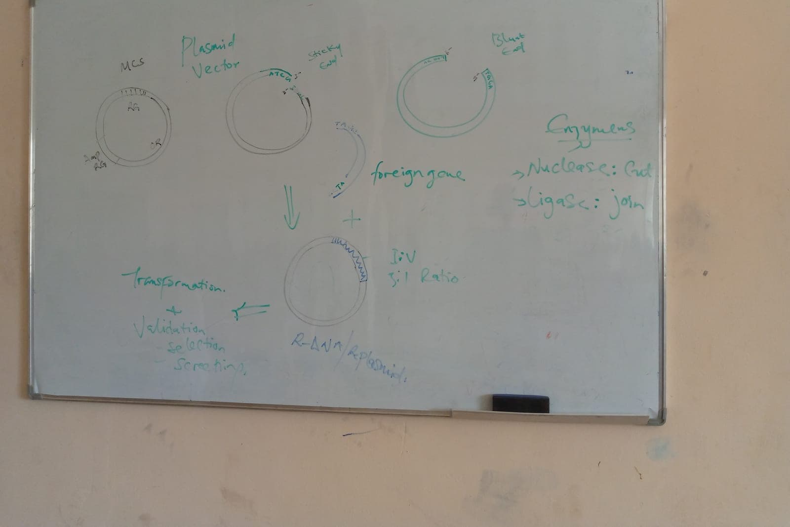 A whiteboard covered in hand-drawn diagrams, arrows and notes