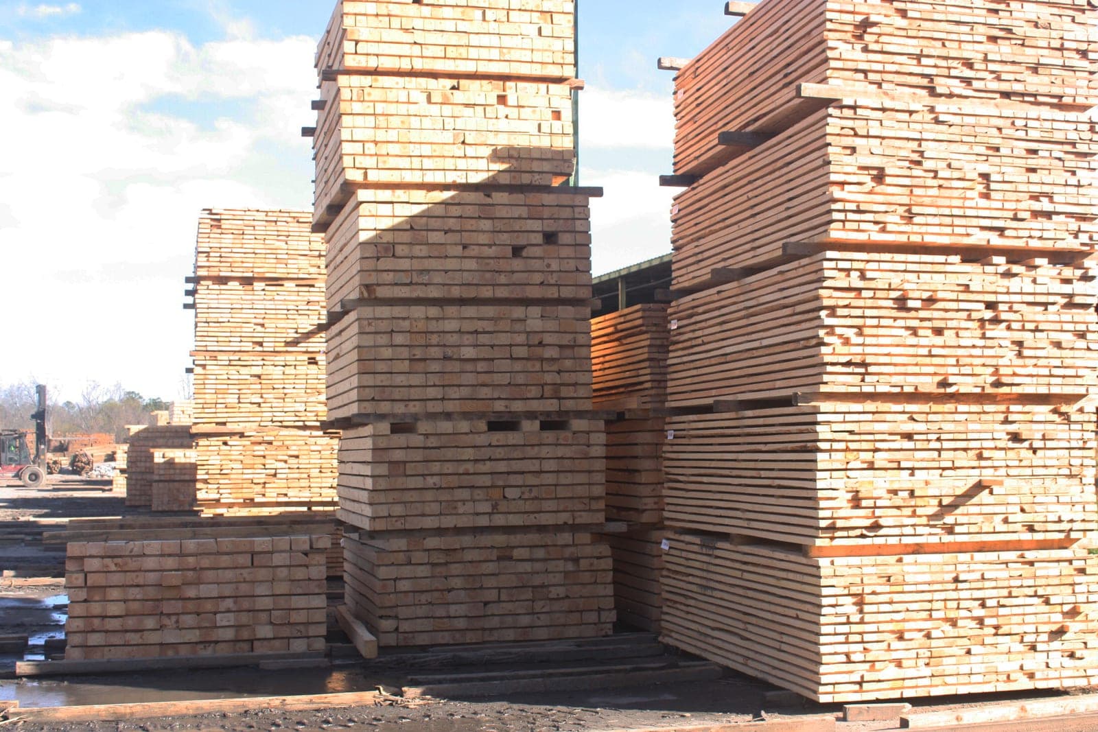 Tall stacks of fresh lumber in an open yard under a blue sky