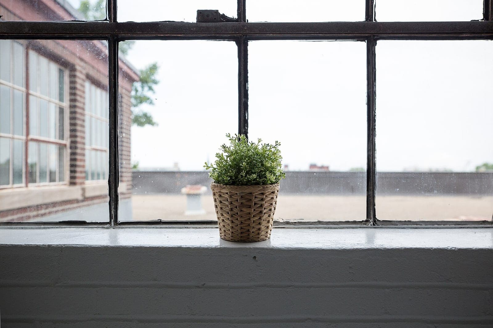 A small potted plant in a woven basket on a white windowsill, with a brick building outside