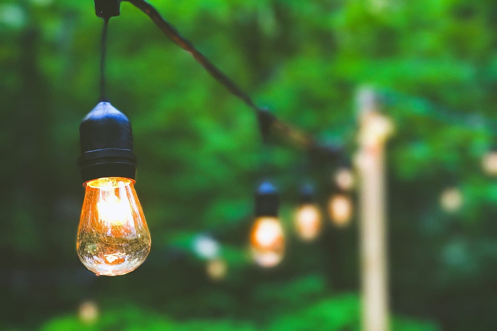 A string of glowing bulbs hangs across a garden, with green trees blurred behind