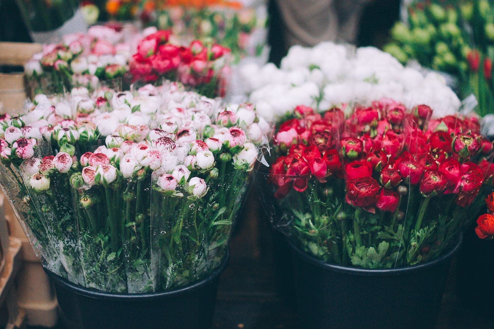 Black buckets of fresh pink, white and red flowers wrapped in clear plastic at a flower shop