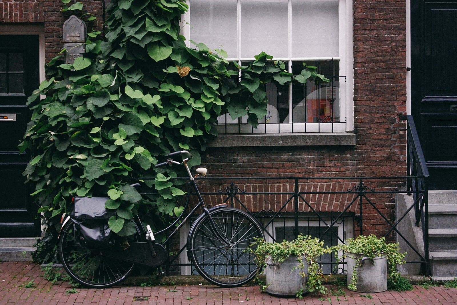 A brick house front with climbing ivy, a parked bicycle and two potted plants by the steps