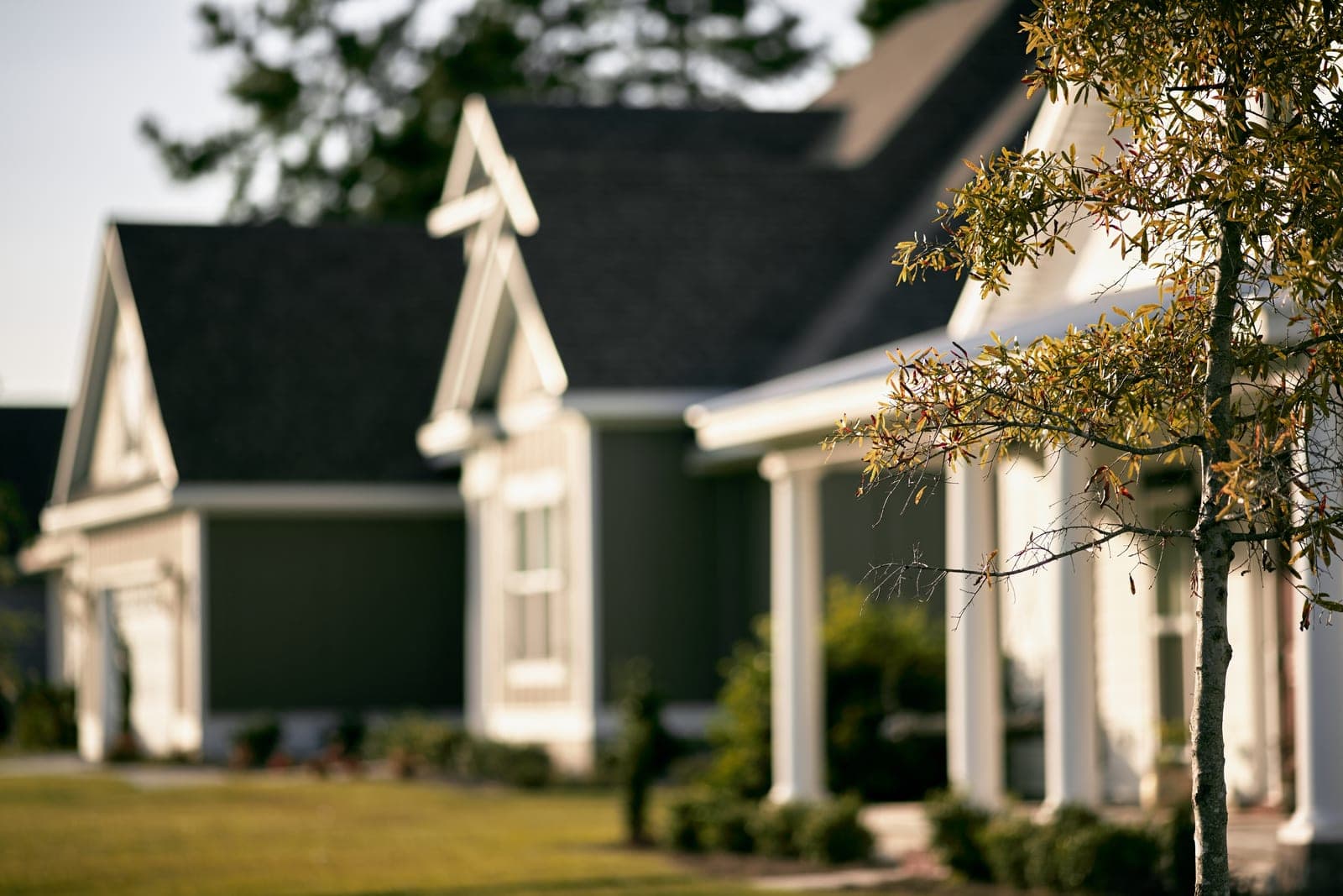 A row of houses with gray roofs and white porch columns behind a young tree in evening light