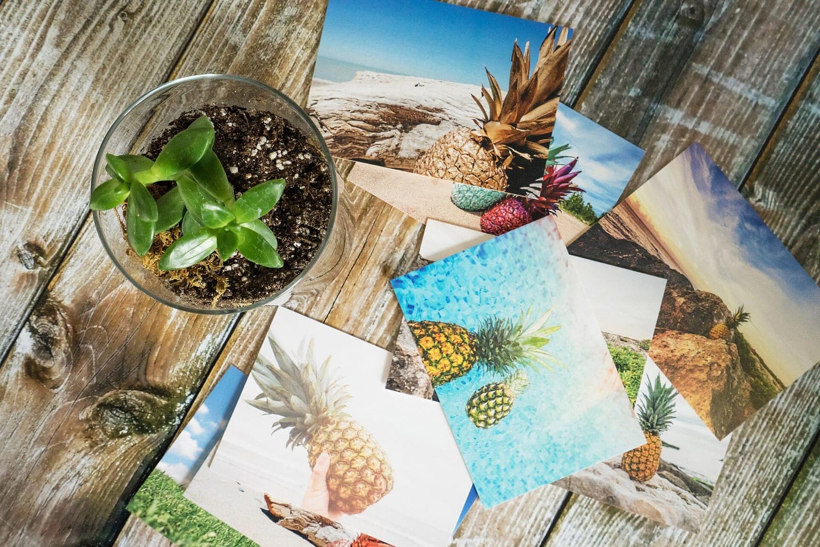 Printed photo cards of pineapples at the beach and in a pool spread across a wooden table beside a potted plant