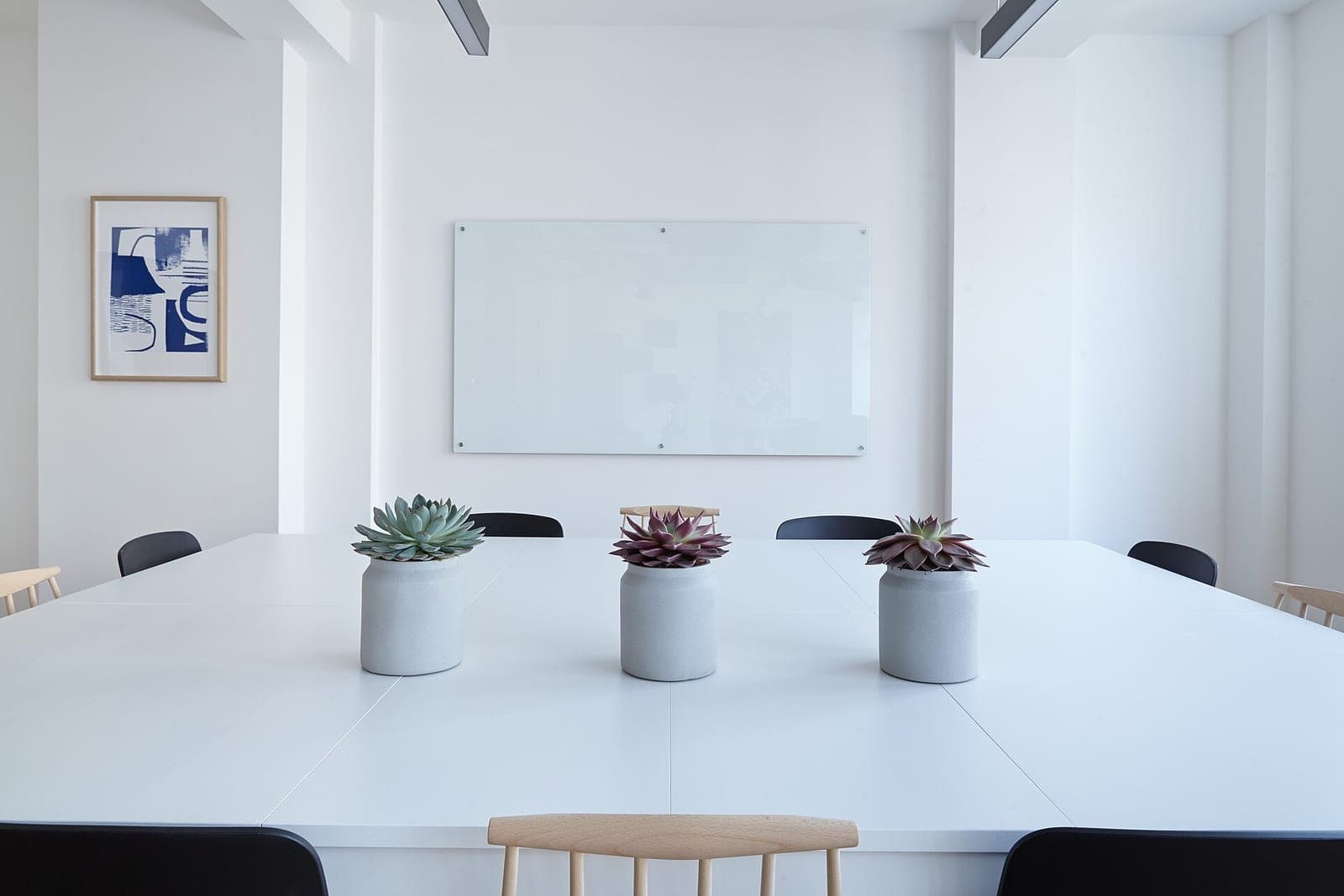 A bright conference room with a long white table, three succulents in gray pots, black and wooden chairs and a glass board on the wall