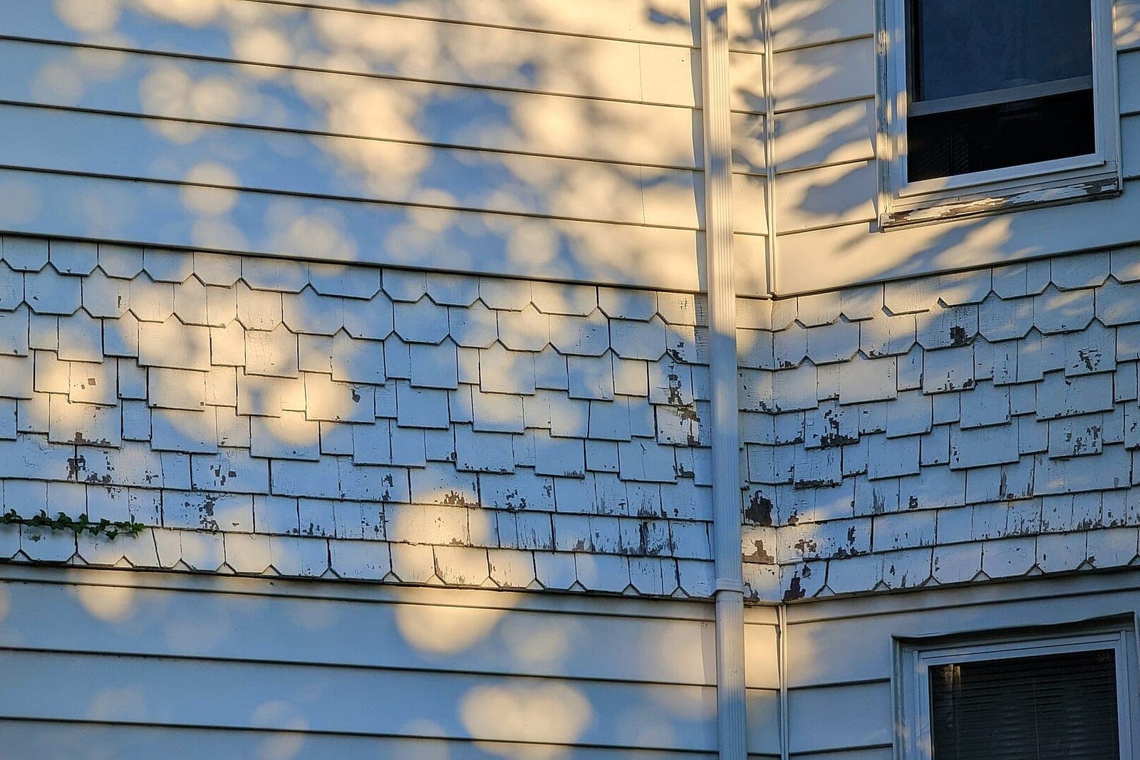 Peeling paint on white scalloped shingle siding beside a downspout and a window sill, in late afternoon light