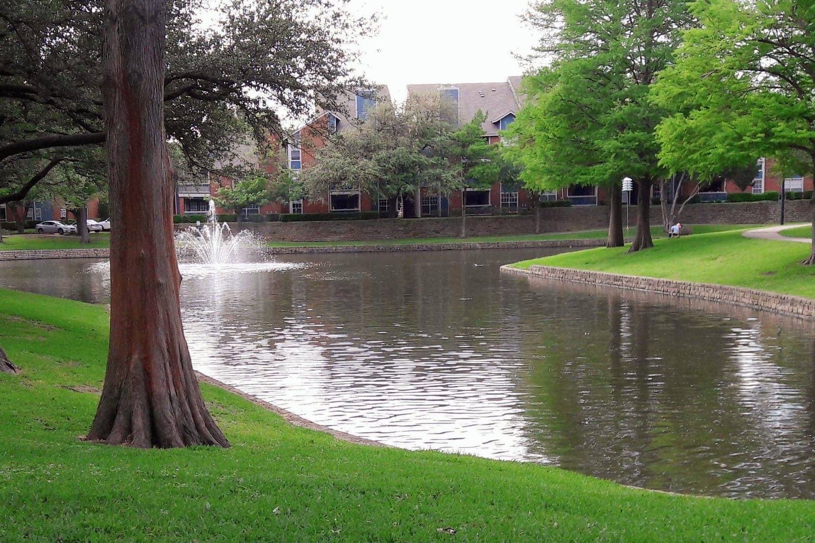 A pond with a fountain and stone edging sits on a lawn between shade trees, with brick buildings behind it