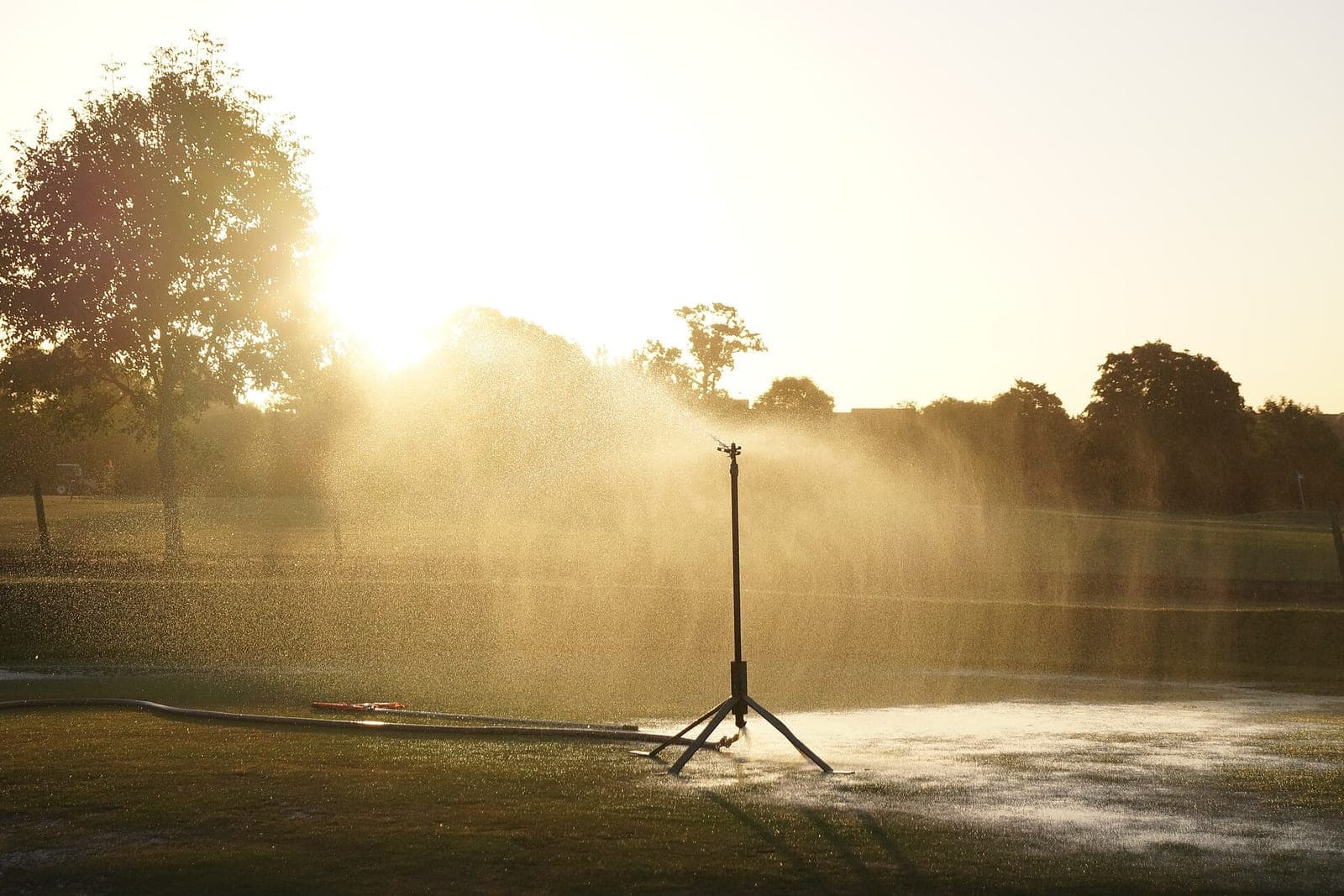 A tall sprinkler sprays water across a wide lawn in warm low sunlight