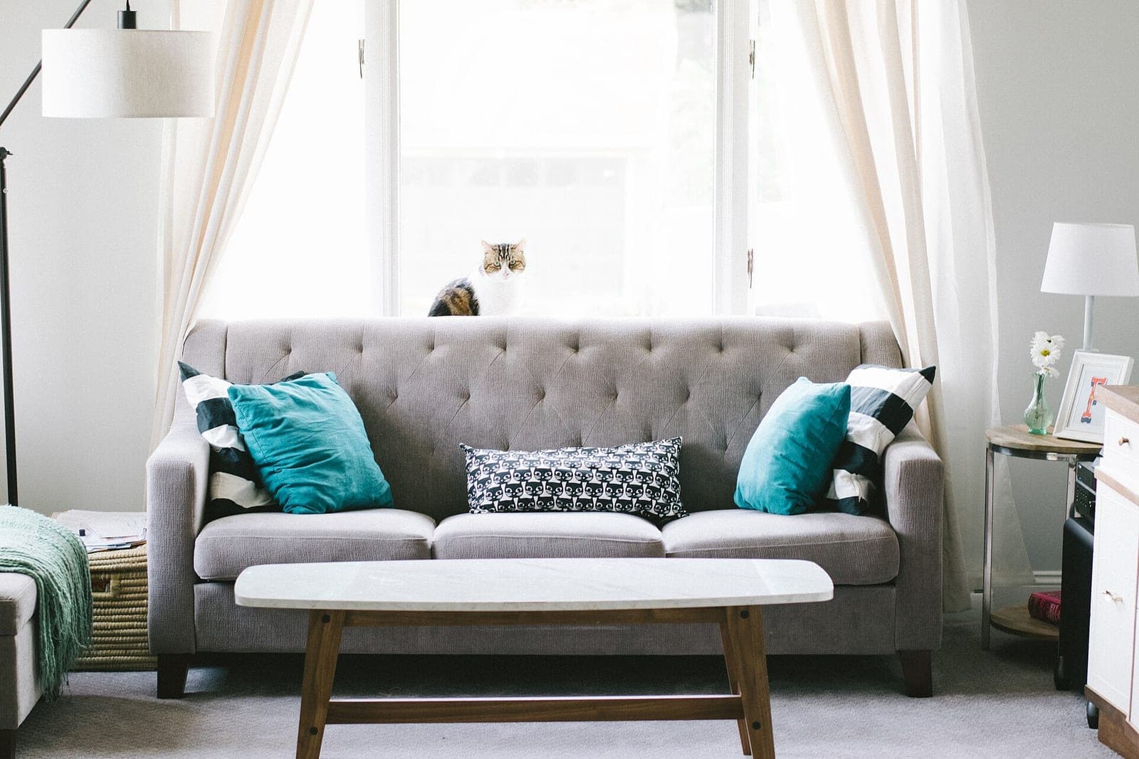 A gray tufted sofa with teal pillows in front of a bright window where a cat sits on the sill