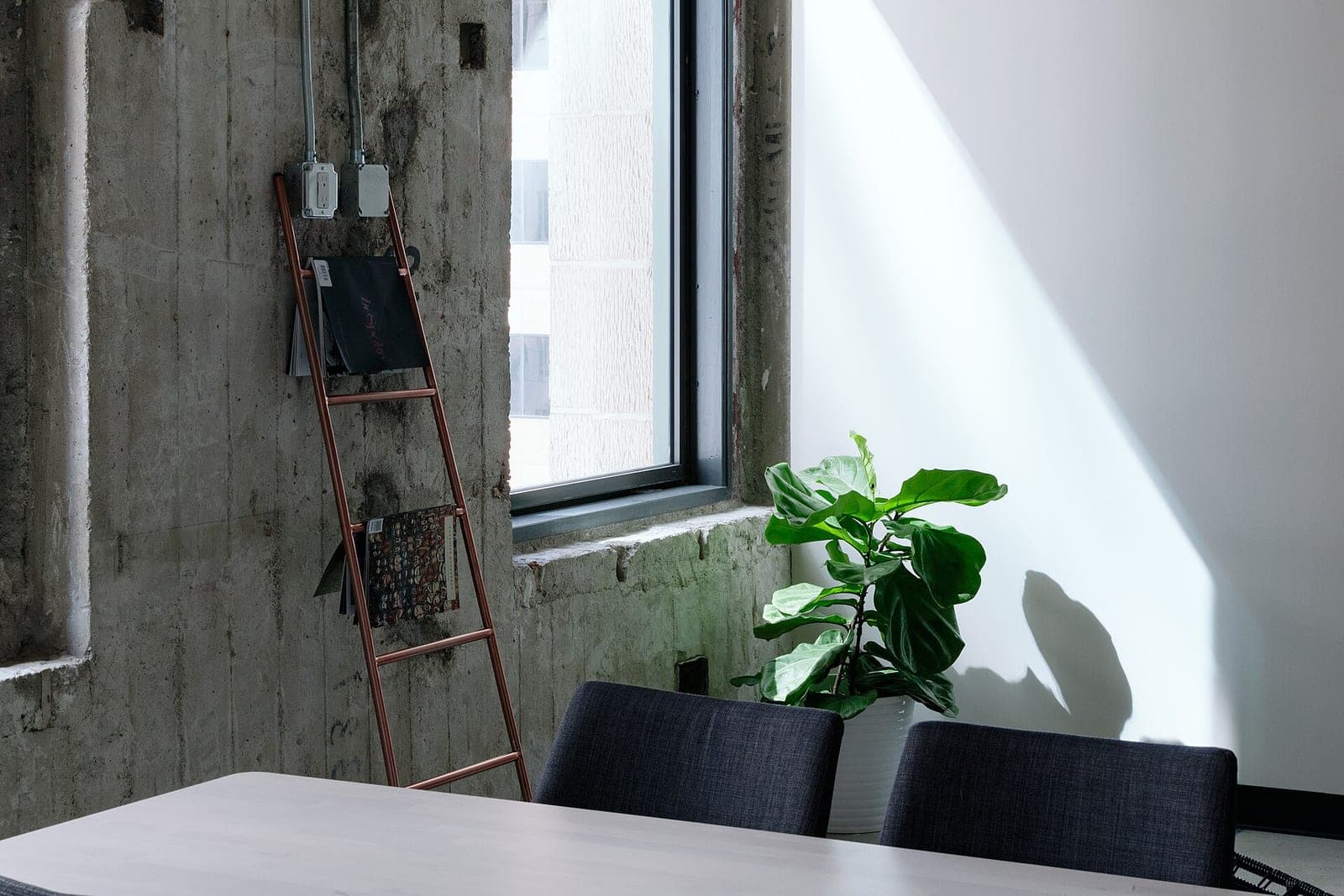 A meeting table with two dark fabric chairs by a window, a potted fig plant and a concrete wall