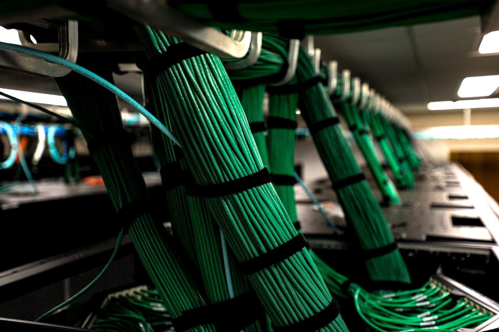 Bundles of green network cables tied with black straps run into a row of server racks