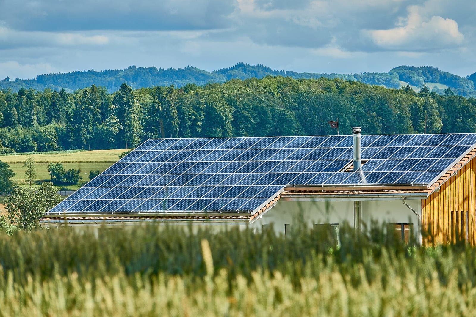 A house with a roof covered in solar panels beyond a field of tall grass