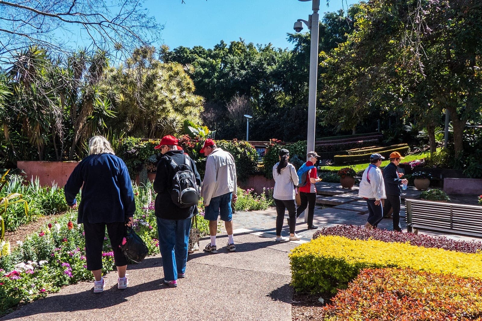Seen from behind, a small group of adults on a guided walk follows a garden path past bright flower beds
