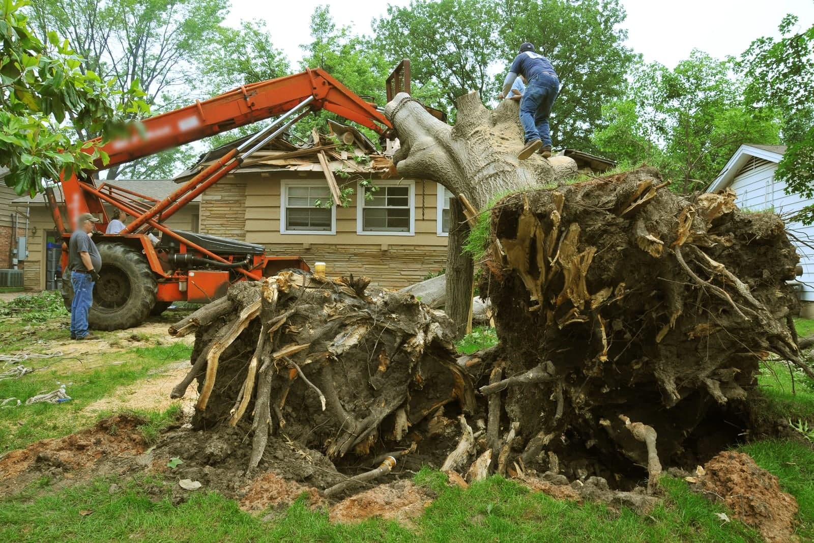 A crew uses a lift with a long boom to clear a large uprooted tree that fell onto a house