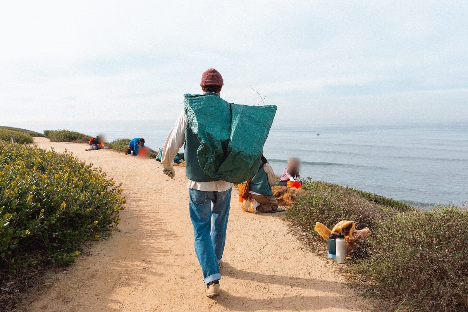 A volunteer carries a green tarp of cut brush along a coastal trail while others work beside the path